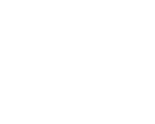 BNI Elk Grove Rock Stars member