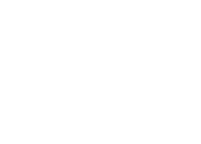 Google Guaranteed service provider